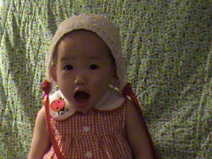 dsc00780.jpg