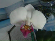 dsc00848.jpg