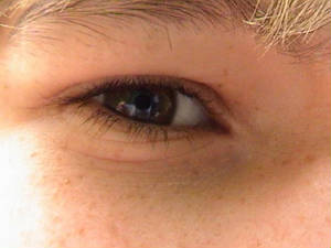 eye.jpg