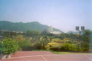 garden.jpg